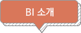 BI 소개