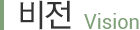 비전