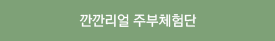 깐깐리얼 주부체험단