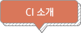 CI 소개
