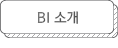 BI 소개