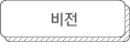 비전